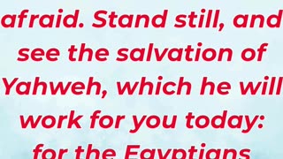 “Do Not Fear—Stand Still and See God’s Salvation” Exodus 14:13.#shortvideo #youtubeshorts #reels #yt