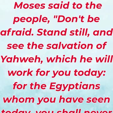 “Do Not Fear—Stand Still and See God’s Salvation” Exodus 14:13.#shortvideo #youtubeshorts #reels #yt