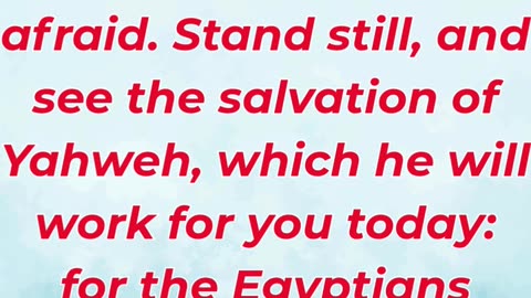 “Do Not Fear—Stand Still and See God’s Salvation” Exodus 14:13.#shortvideo #youtubeshorts #reels #yt