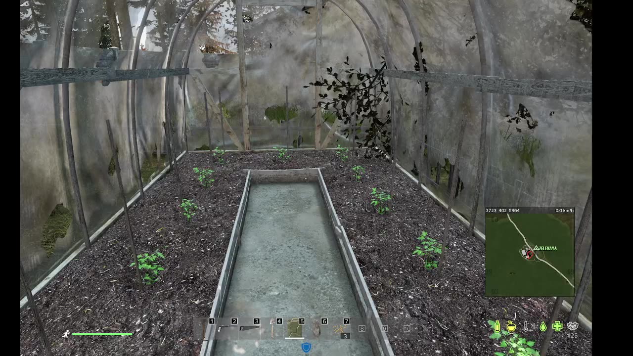 Dayz gameplay