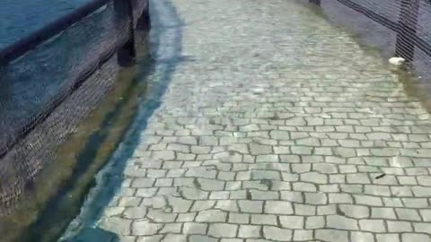 🤯✨ High Tide Submerges Path at Nagase Beach! | FeedMyCuriosity