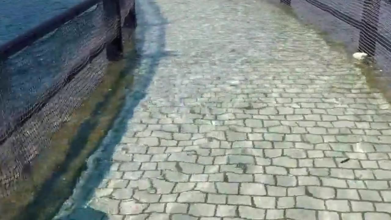 🤯✨ High Tide Submerges Path at Nagase Beach! | FeedMyCuriosity