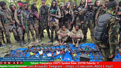 Gabaasa Tarkaanfii ONM-ABO Waxaabajjii 12-2025 itti dhiyaadhaa!