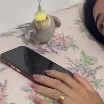 Snooze button doesn’t work 😍👍