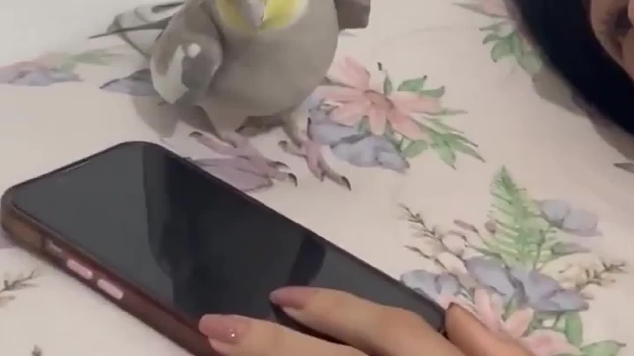 Snooze button doesnโt work ๐๐