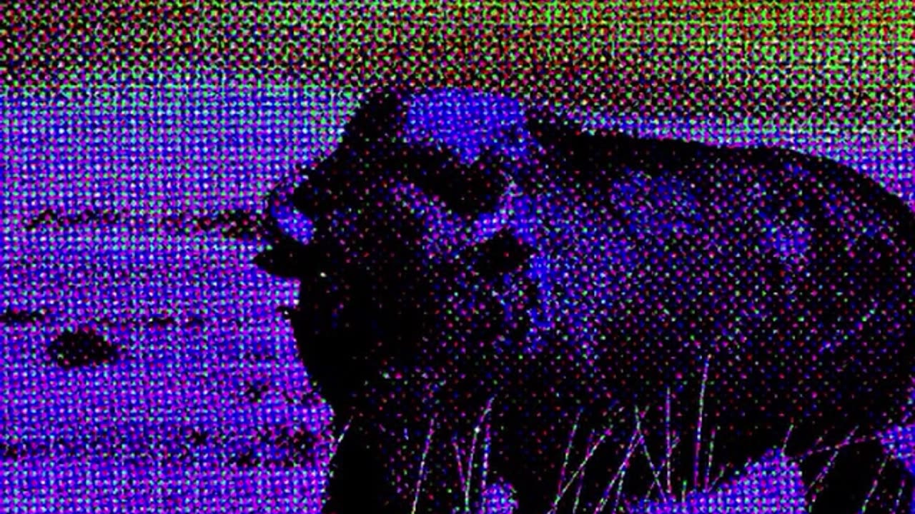 BAD LANDS [OFFICIAL AUDIO] [RUMBLE EXCLUSIVE]