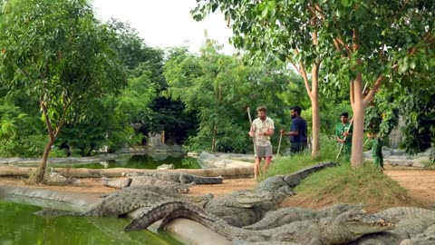 Private Tour of an Indian Billionaire’s Secret Wildlife Rescue Center please follow my channel