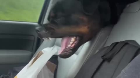 So close I can taste it 😂