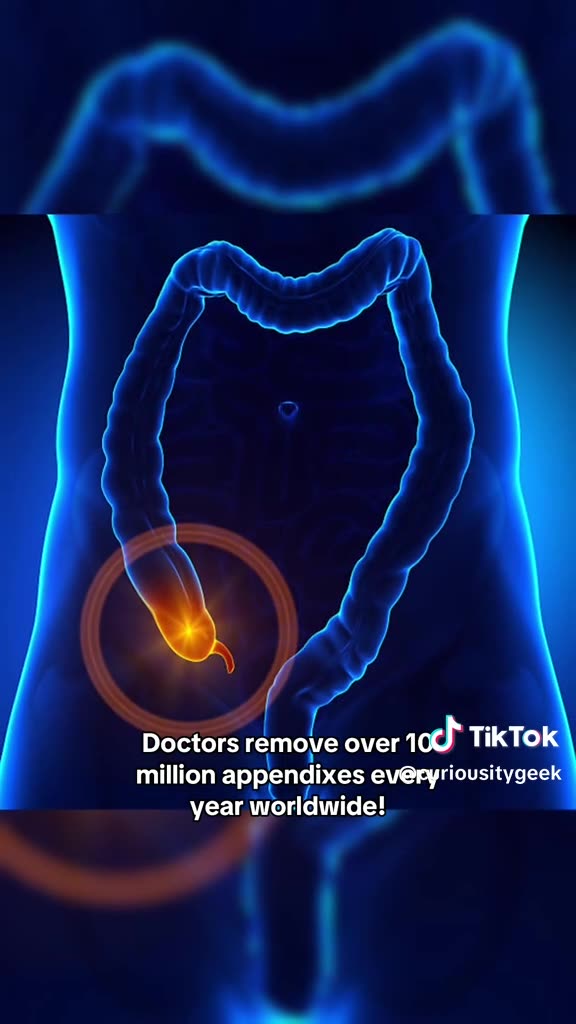 Human Body Parts We Still Have But Dont Actually Need Anymore!