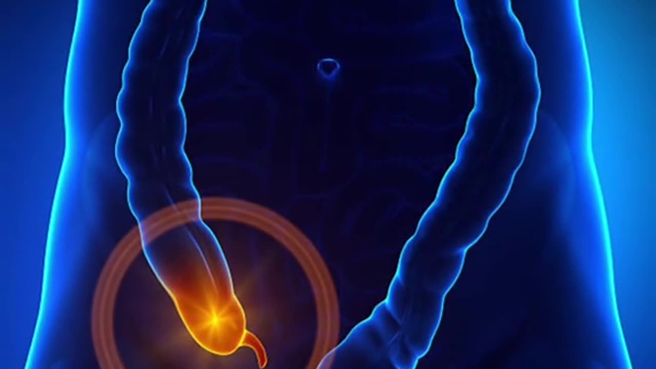 Human Body Parts We Still Have But Don't Actually Need Anymore!