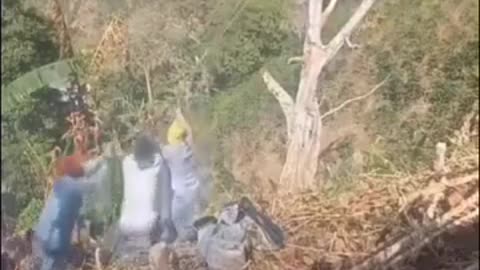 😂🌳 Tree Fail That Will Make You Laugh! | FunFM