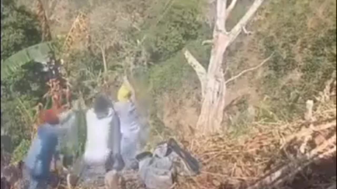 😂🌳 Tree Fail That Will Make You Laugh! | FunFM