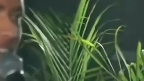 #apostleankuryosephnarula