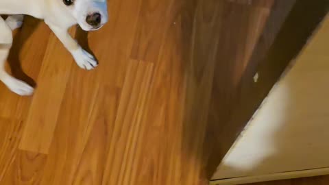Having fun inside on a rainy day