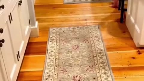 funny baby and kids
