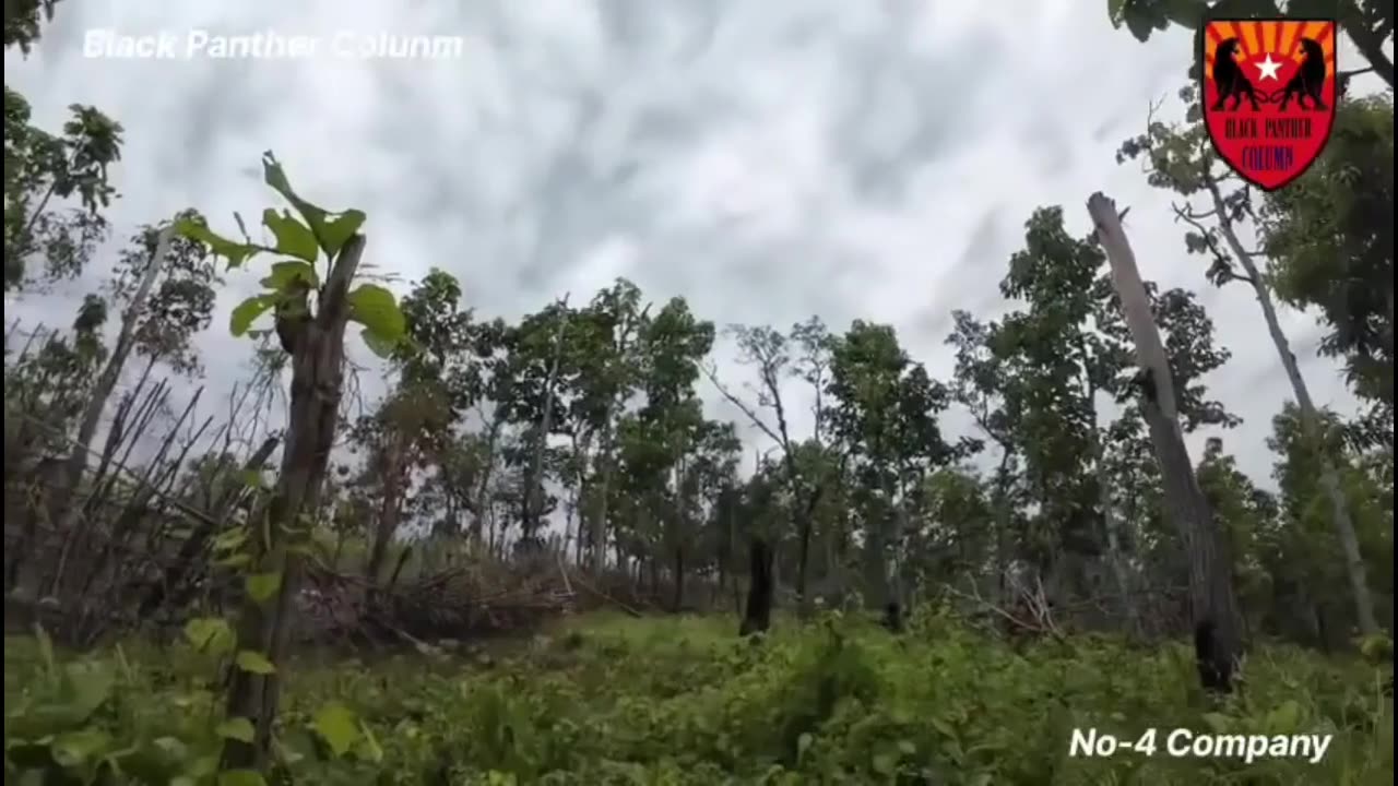 🔥⚔️ Myanmar War | Black Panther Column & KNLA Rebel Attacks on Junta Camps | RCF
