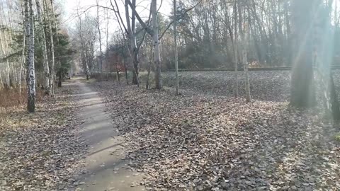 mówię ... co myślę ...