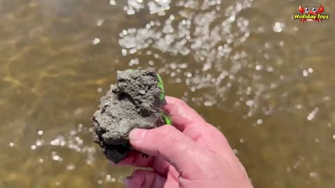 Penguins Bathe in Rivers to Clean Themselves of Mud