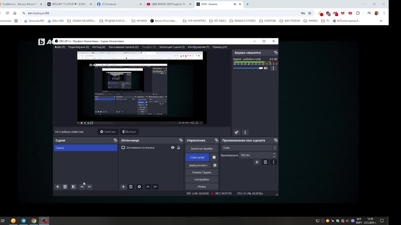 Ружа Игнатова: Криптокралицата С1:Е1