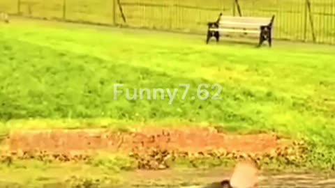 Big Fails