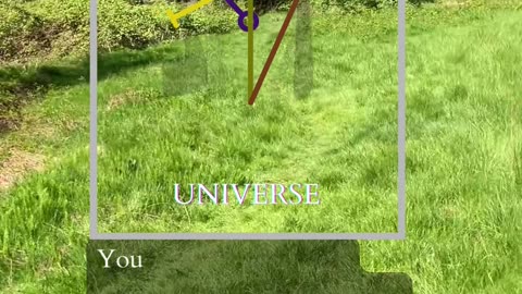 Everything Is Possible | Path and Tarot Reading