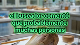 Encuentran un enorme diente de mamut en Alemania.