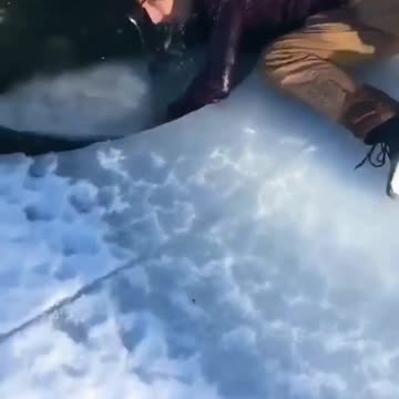 The End 😂😂😂 | Viral Funny Shorts That'll Make Your Day