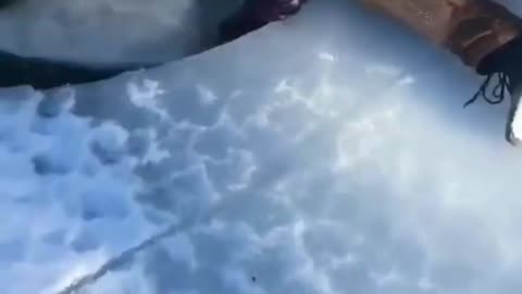 The End 😂😂😂 | Viral Funny Shorts That'll Make Your Day