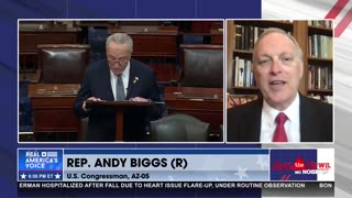 Rep. Andy Biggs: Schumer used shutdown for "political purposes"