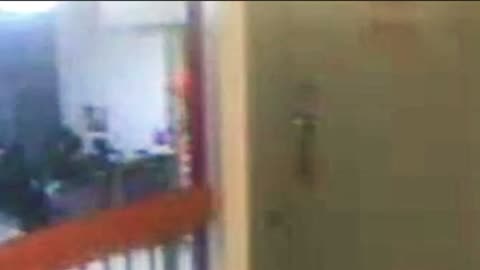 Wolves and Finance. New video footage shows an inmate climbing the stairs to Jeffrey Epstein’s cell