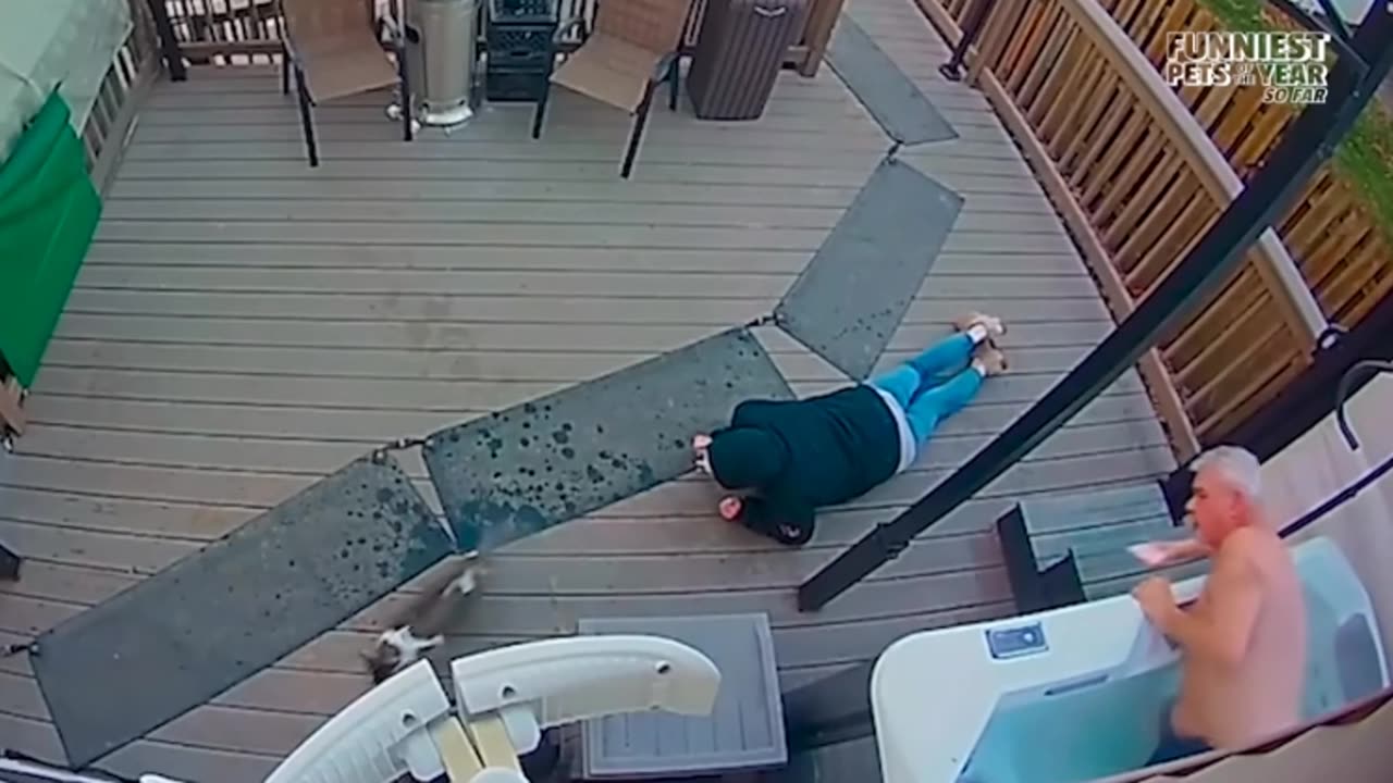 FUNNIEST Pets of 2025 (So Far) 🤯🐾 Laugh Till You Break 😂🔥