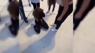 A young European girl is forced to kneel to be humiliated and beaten by several thugs.