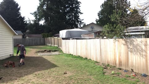 backyard hangout 2908420984