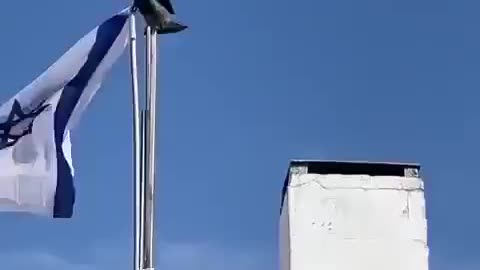ISRAEL FATIGUE: Even the birds are getting fed up with Israel. Enough is enough.