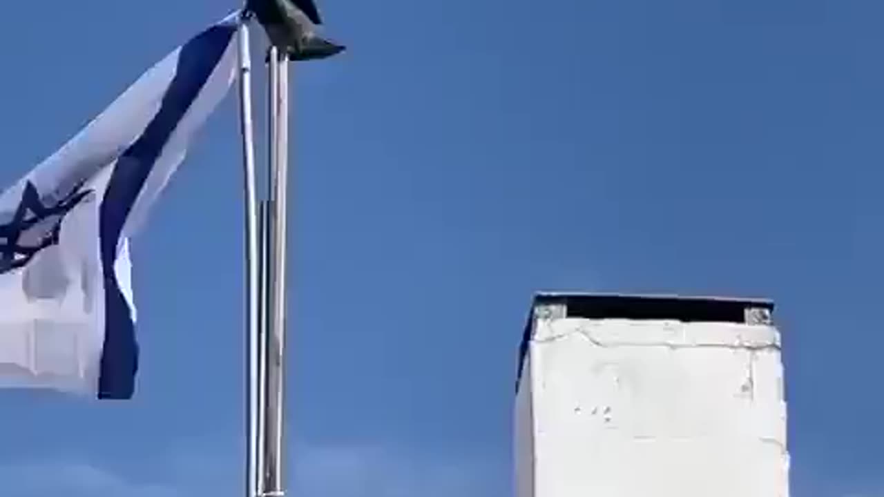 ISRAEL FATIGUE: Even the birds are getting fed up with Israel. Enough is enough.