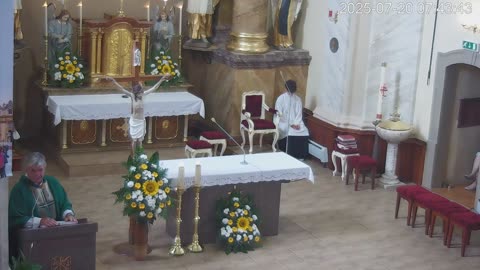 Homilia 20.7.2025
