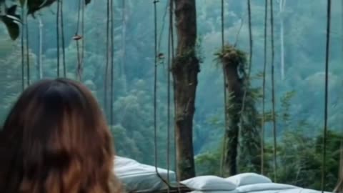 Suspended Above the Foliage | My Surreal Lounge Experience