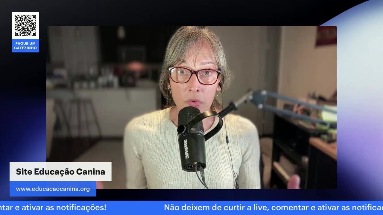 Dois vira-latas adotados que começaram a brigar: o que fazer?