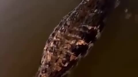 viral
