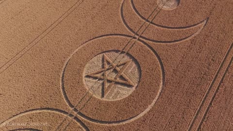 Crop Circle Beech Clump Nr Ludwell Wiltshire 12 07 25