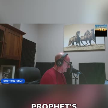 When the Donkey Saw an Angel