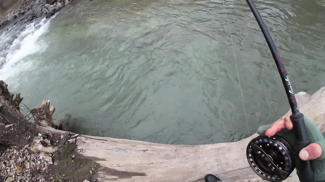 Stupid Drift! Steelhead Fishing After Work!