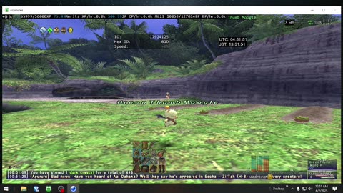 Playing Final Fantasy XI Online