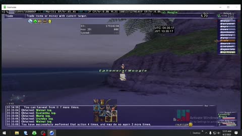 Playing Final Fantasy XI Online