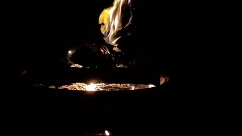 Daily Horoscope | Leo 🌟