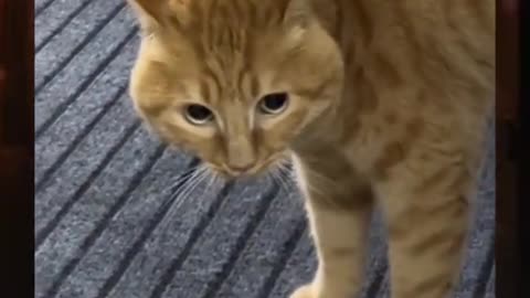 😱👻 You Won't Believe What Happens When They Use the Ouija Board! | TheHauntingHour