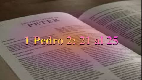 Estudio,1 Pedro 2: 21 al 25