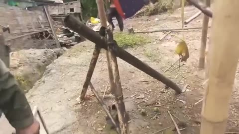 🛡️🔥 Myanmar War | KNLA Allies Capture Advanced Junta Mortars at Bawdi Camp | RCF