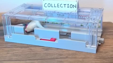 The Track of Kindness 🚃