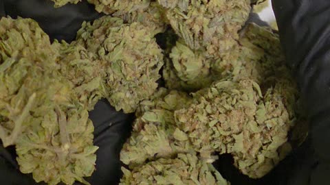 THC-A Flower Diamond